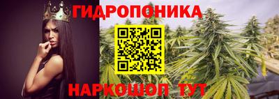 мдпв Пугачёв