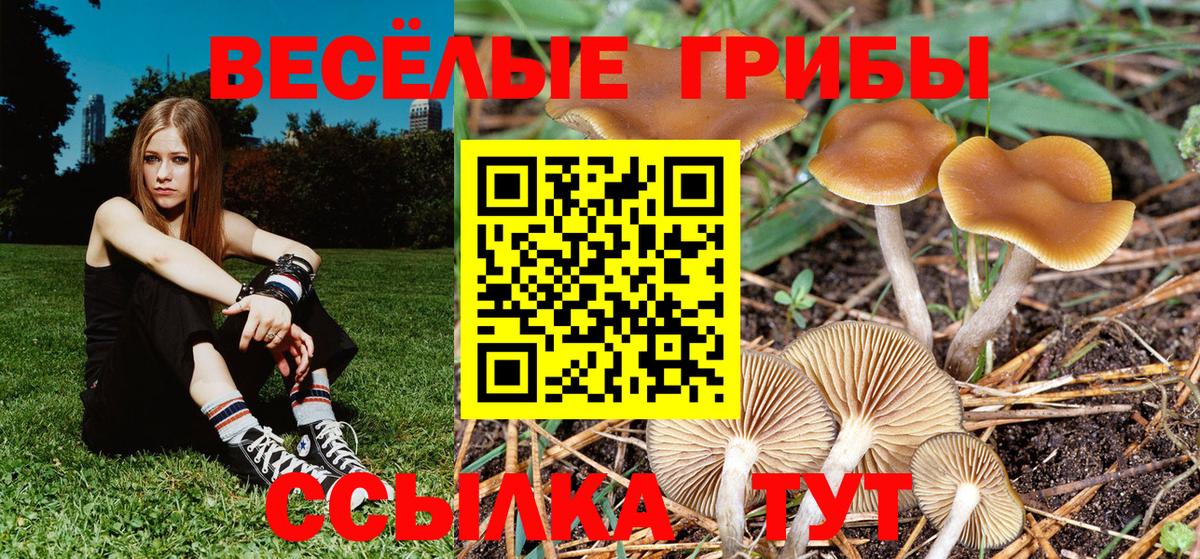 Псилоцибиновые грибы прущие грибы Юрга