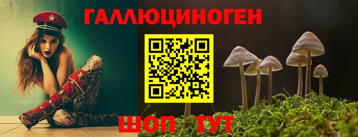 Галлюциногенные грибы GOLDEN TEACHER  Галлюциногенные грибы мухоморы  Вход с VPN  Юрга 